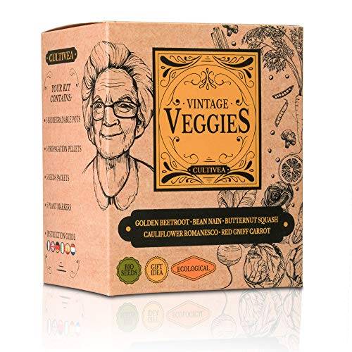 Kit Prêt à Pousser Légumes oubliés Vintage - (Betterave jaune, Haricot nain, Chou fleur romanesco natalino, Carotte, Courge) - Image 1