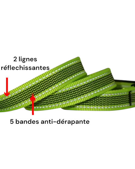 France Croquettes - Longe anti derapante et reflechissante de 3m vert  FranceCroquettes - Imagen 4