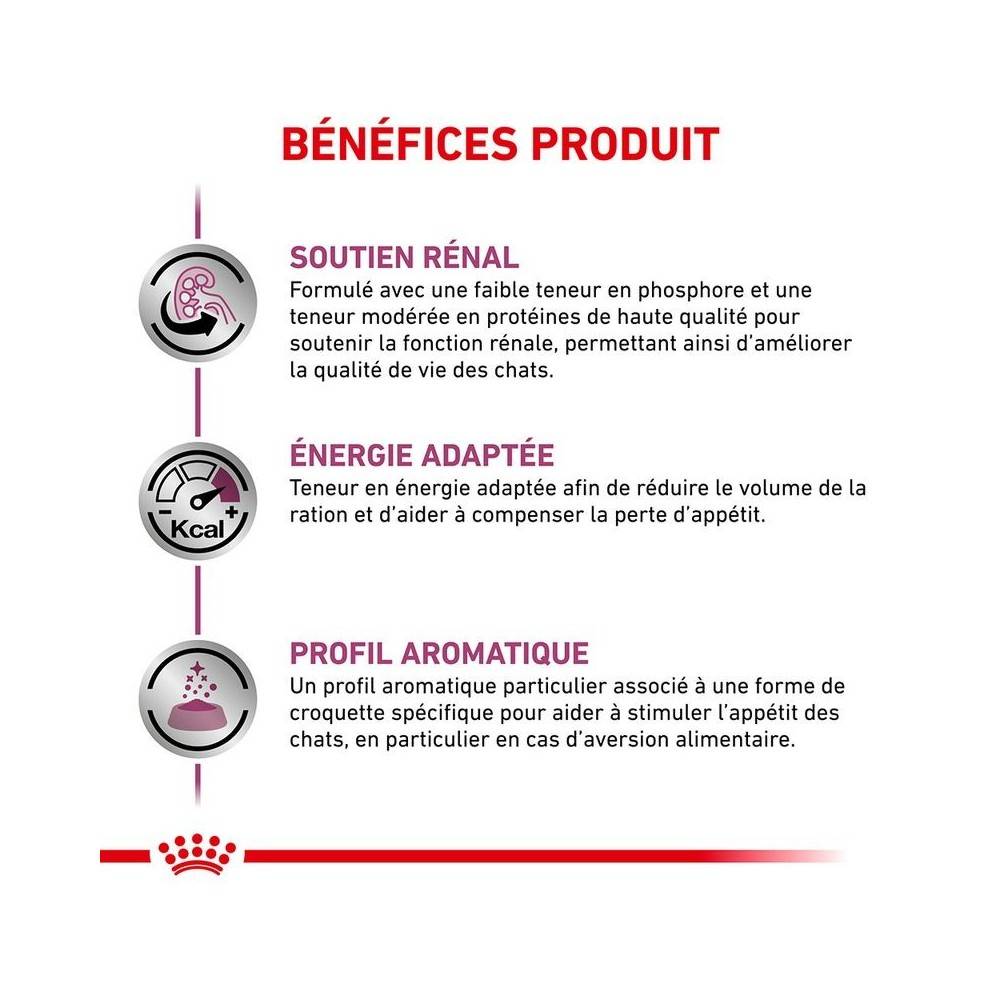 Royal Canin - Croquettes chat VETERINARY CAT RENAL SPECIAL - Royal Canin 400 g - Imagen 4