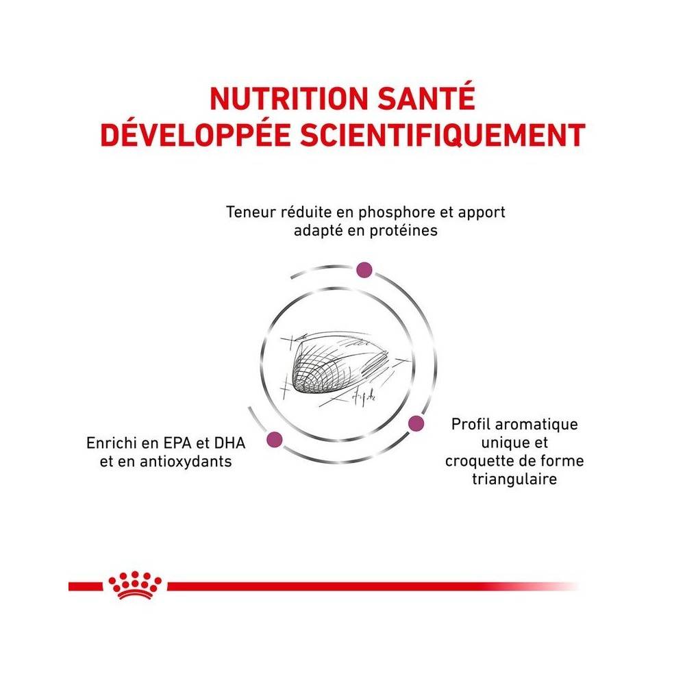 Royal Canin - Croquettes chat VETERINARY CAT RENAL SPECIAL - Royal Canin 400 g - Imagen 8