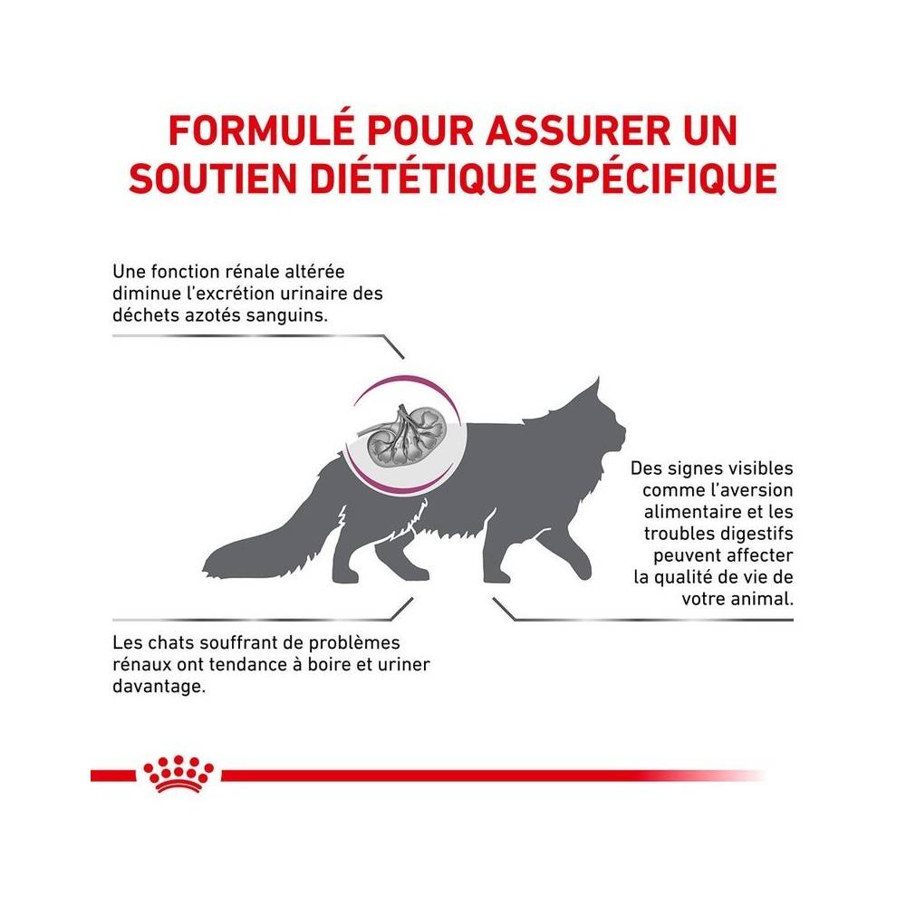 Royal Canin - Croquettes chat VETERINARY CAT RENAL SPECIAL - Royal Canin 400 g - Imagen 3