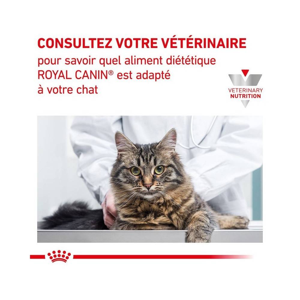 Royal Canin - Croquettes chat VETERINARY CAT RENAL SPECIAL - Royal Canin 400 g - Imagen 1