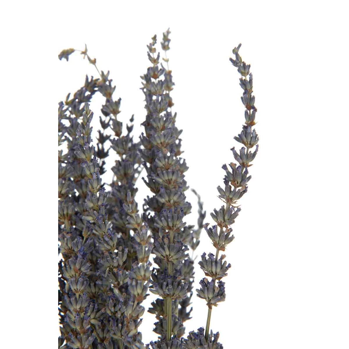 Bouquet de Fleurs Séchées "Lavande" 73cm Mauve - Image 2