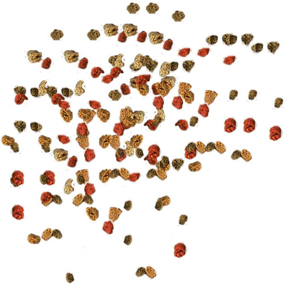 Tetra - Min Granules alimentation pour poissons d'ornement 400g/1 litre - Image 2