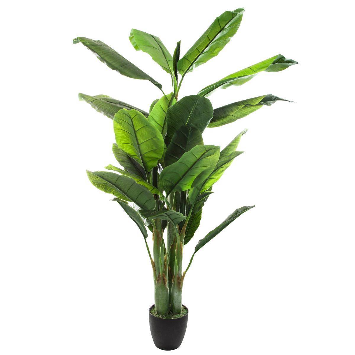 Atmosphera - Bananier artificiel H170cm - Atmosphera Créateur d'intérieur - Imagen 1
