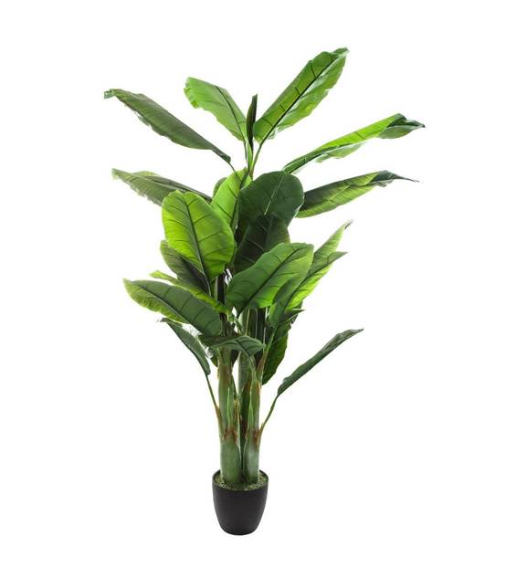 Plante artificielle Bananier en pot H 170 cm - Image 1