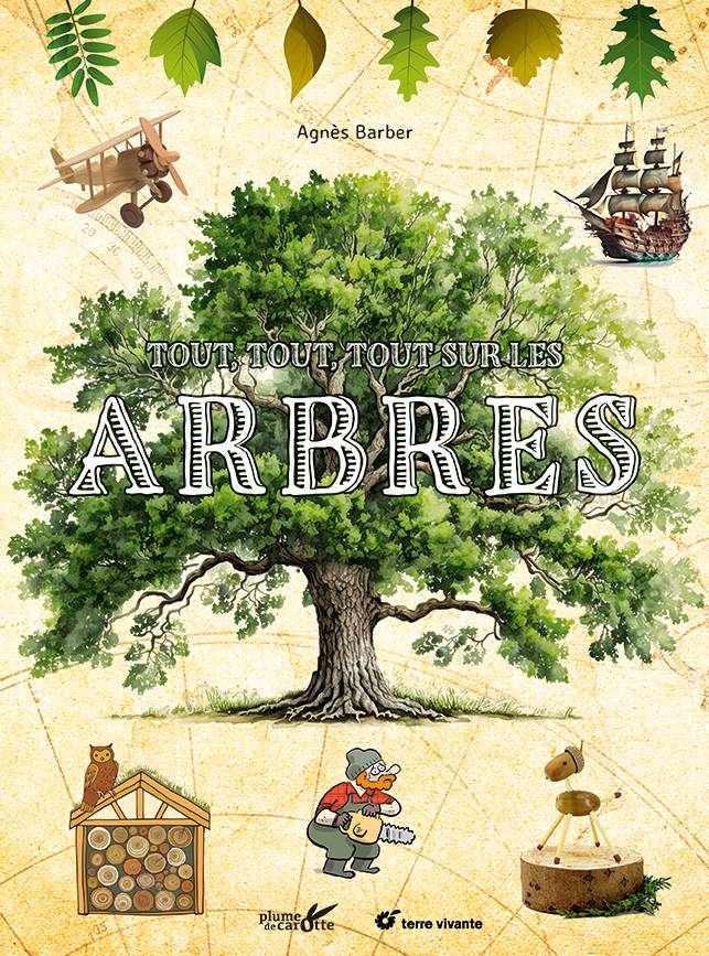 Tout, tout, tout sur les arbres