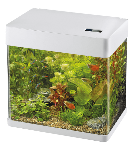 Superfish - Aquarium Panorama 35 LED Blanc 38 x 25 x 38 cm - SUPERFISH