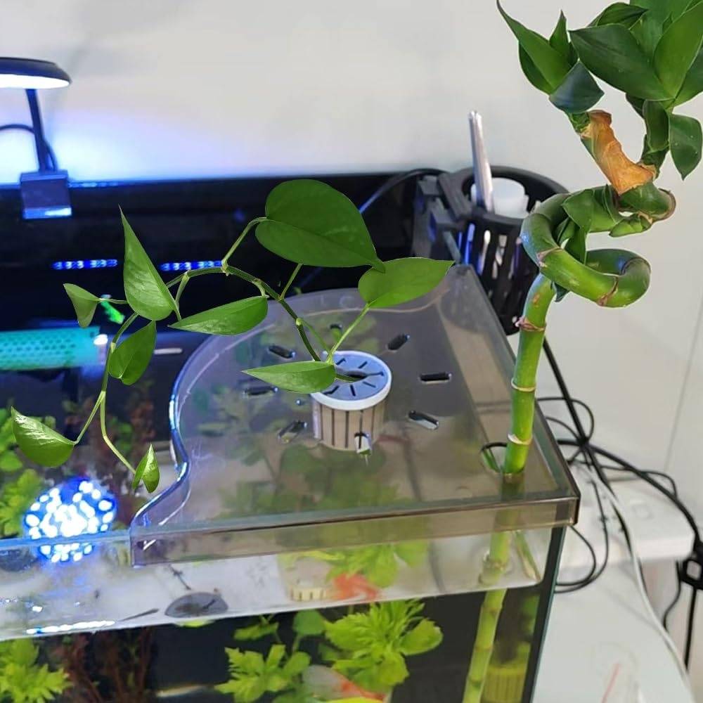 Support d'angle d'aquarium pour plantes aquatiques DtopbuyAge - Image 3