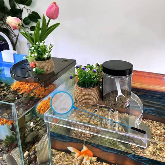 Support d'angle d'aquarium pour plantes aquatiques DtopbuyAge - Image 2