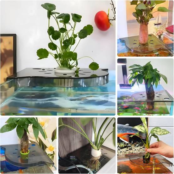 Support d'angle d'aquarium pour plantes aquatiques DtopbuyAge - Image 4