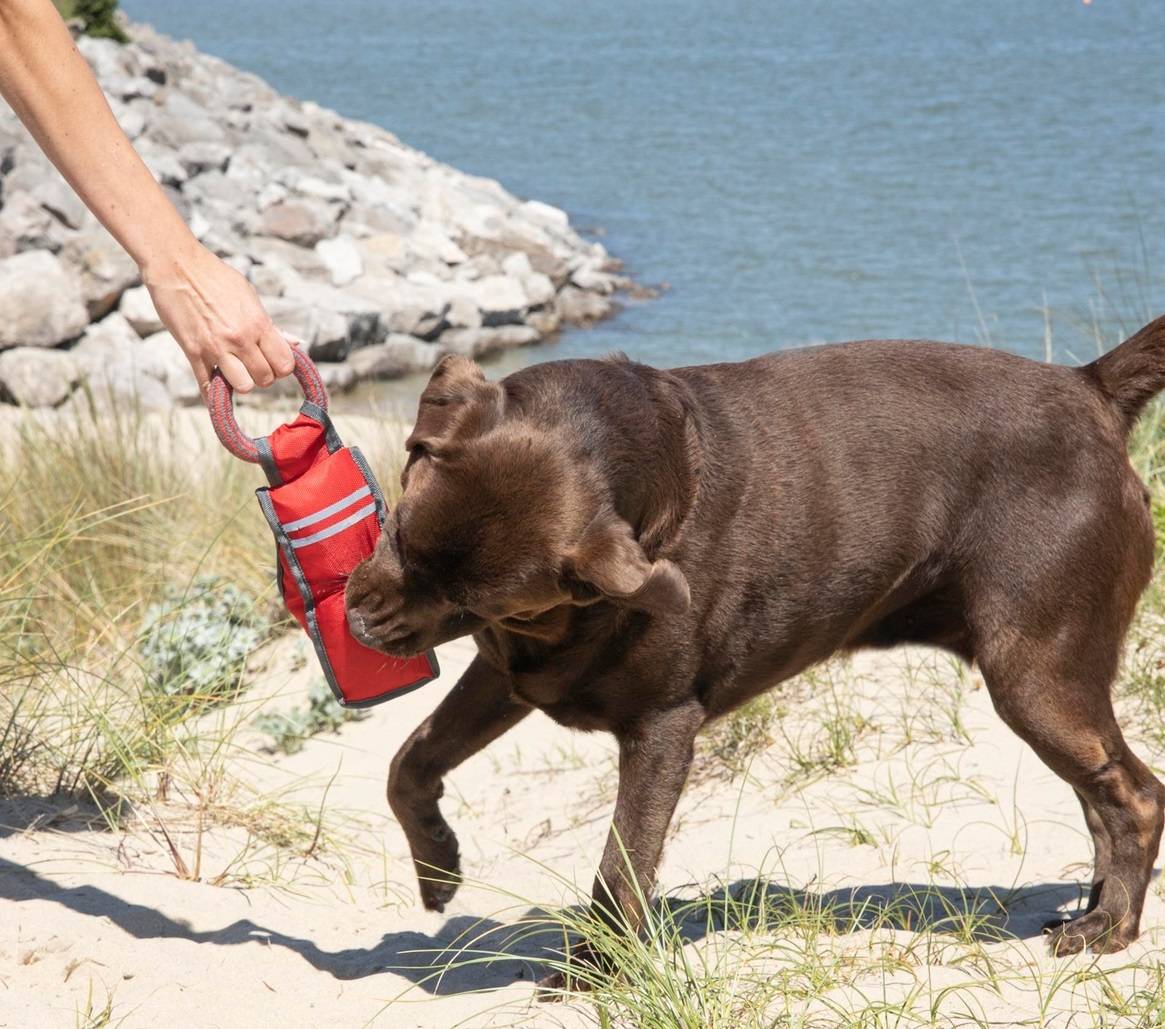 Jeu d entrainement pour chien - Image 4