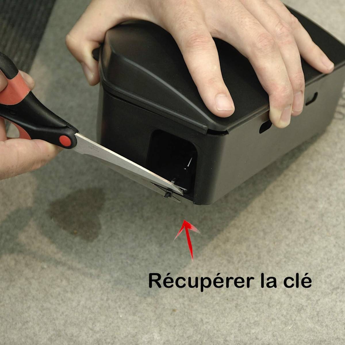 Multitanks - Raticide canadien 720 g et boîte sécurisée : votre allié anti-rongeurs - Imagen 3