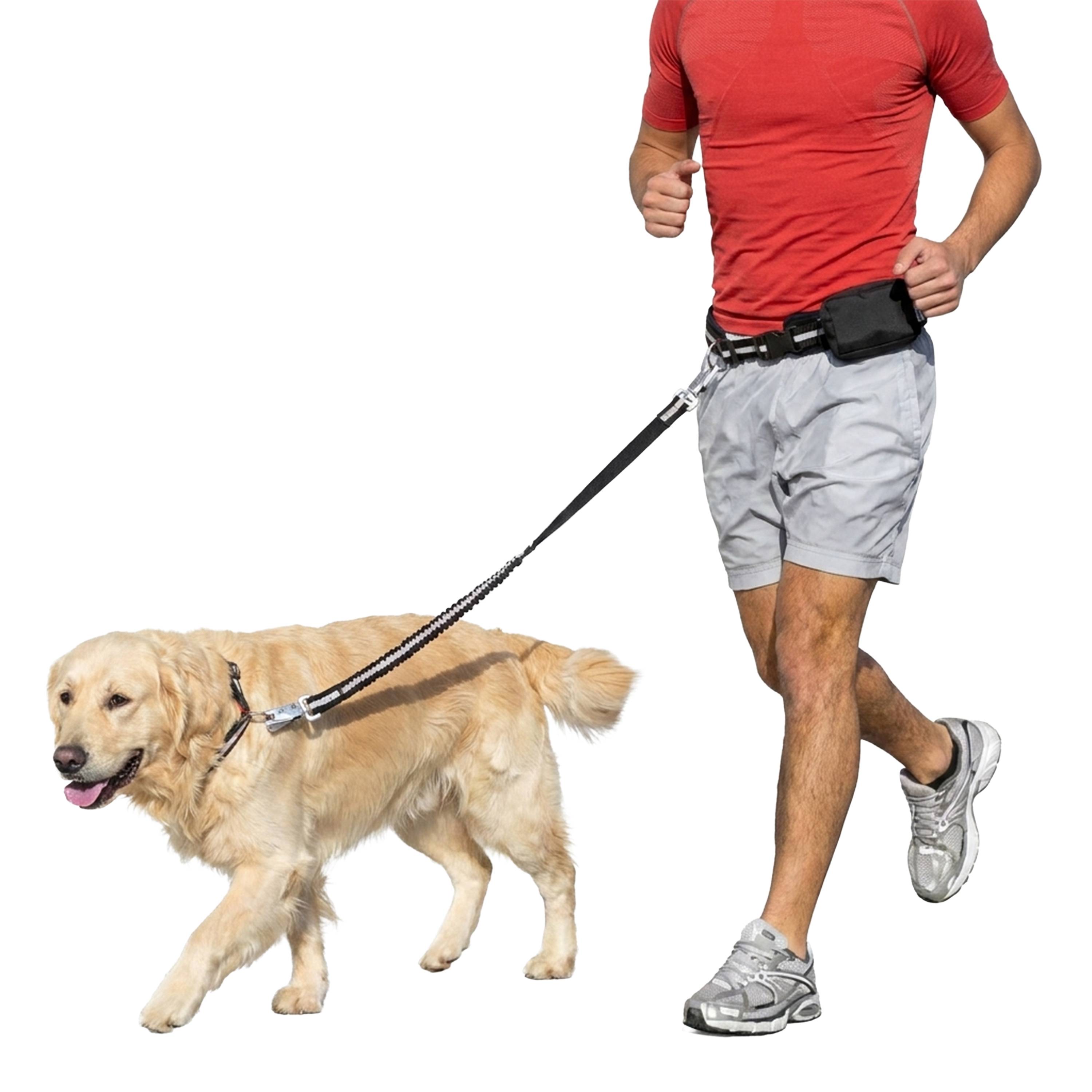 Ferplast - Ferplast ERGOCOMFORT FREETIME Laisse pour chien de course, Complet avec ceinture et sac de rangement, Extrémité élastique, Ø 70÷130 cm - B: 25 mm x L - Imagen 4