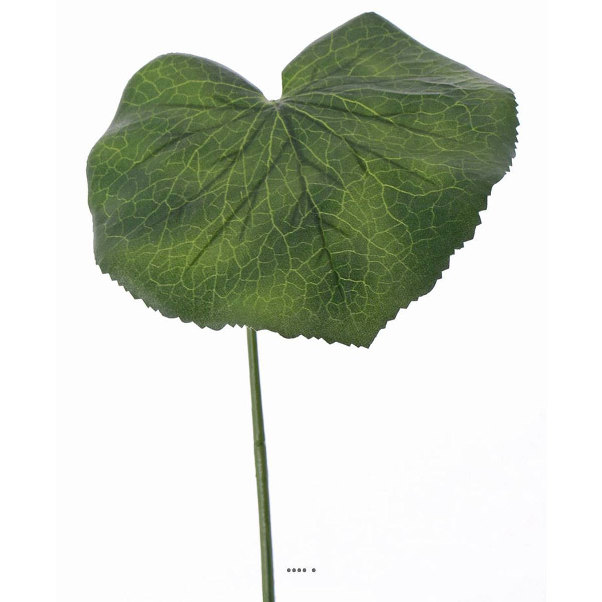 Artificielles - Feuille de galax artificielle D 20 cm vert H 50 cm - Imagen 2