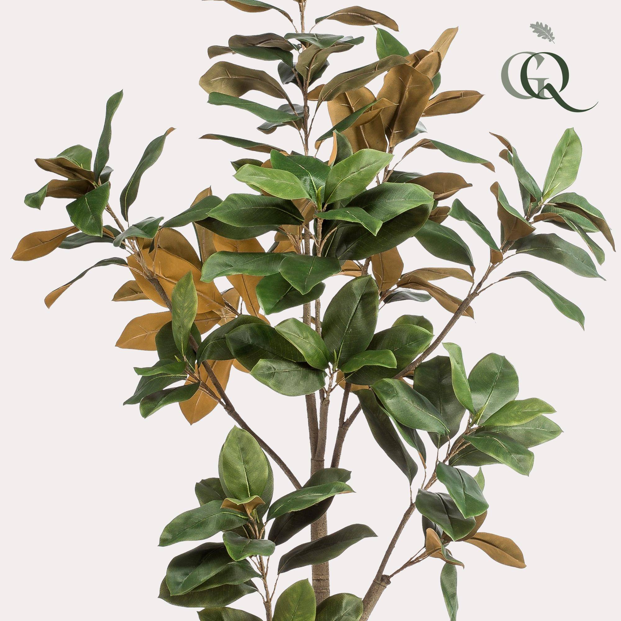 La Green Touch - Magnolia Grandiflora plante artificielle - h180cm, Ø15cm- La Green Touch - Imagen 2