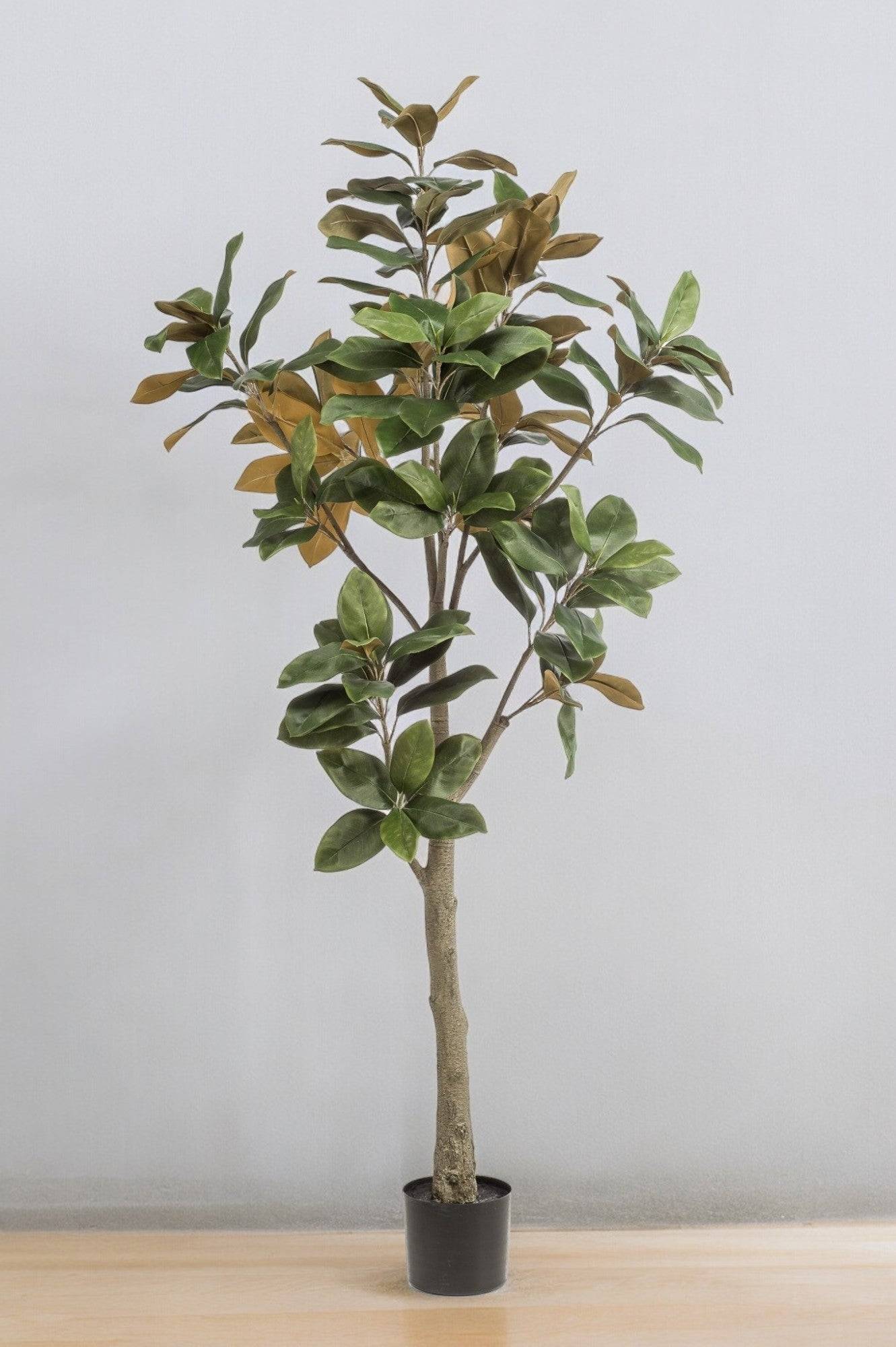 La Green Touch - Magnolia Grandiflora plante artificielle - h180cm, Ø15cm- La Green Touch - Imagen 1