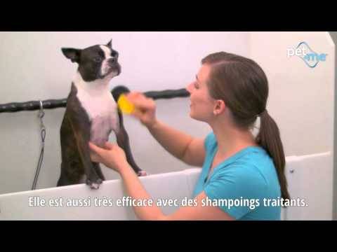 Brosse petits chiens et chats à poils ras PETME - Image 2