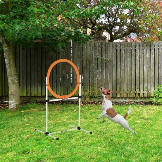 Haie Agility Chien PE 2-en-1 Saut Cerceau Réglable Transportable 91cm - ComfortXL Pet Living - Image 1