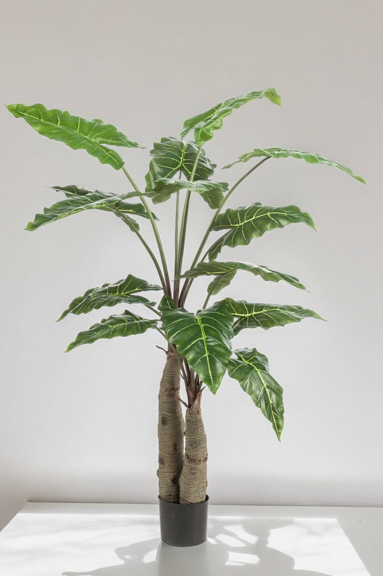 La Green Touch - Alocasia plante artificielle - h150cm, Ø12cm- La Green Touch - Imagen 1