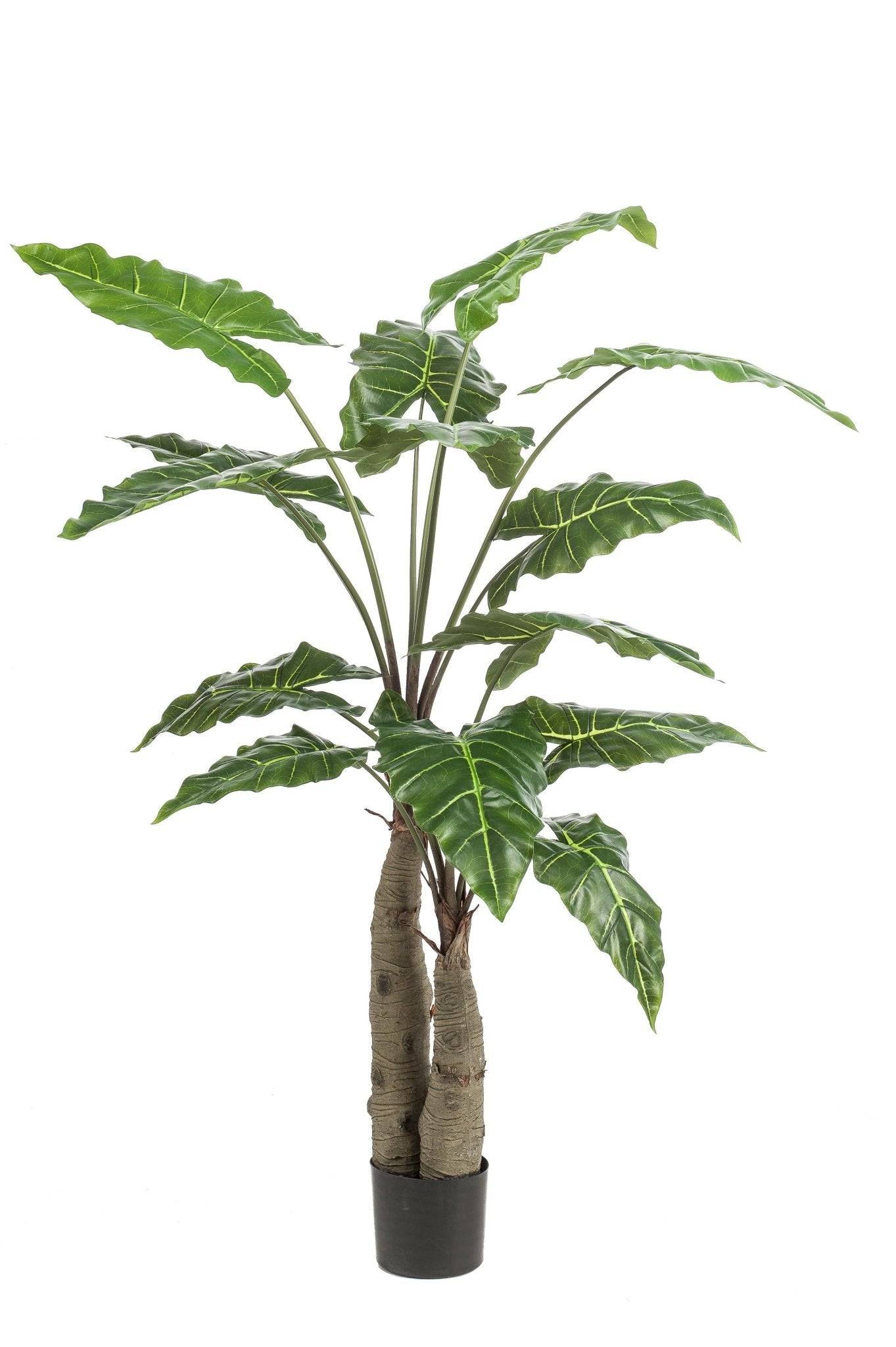 La Green Touch - Alocasia plante artificielle - h150cm, Ø12cm- La Green Touch - Imagen 6