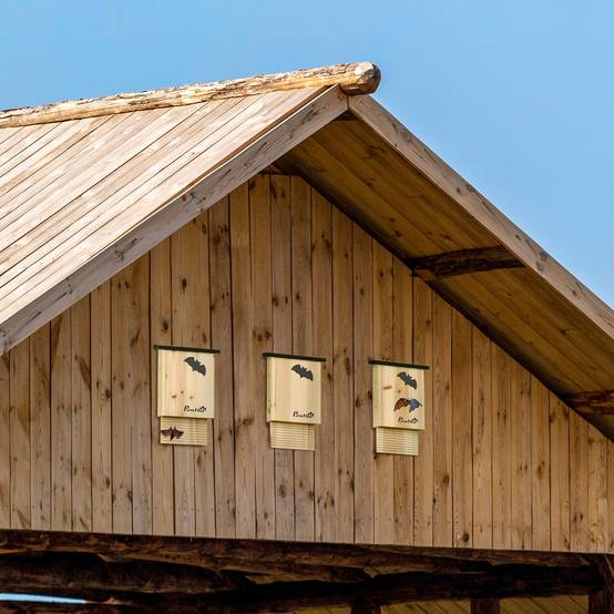Sans Marque - 3er Set Fledermaushaus wetterbeständig bis 3 Fledermäuse pro Haus Tannenholz Natur + Schwarz - Image 4