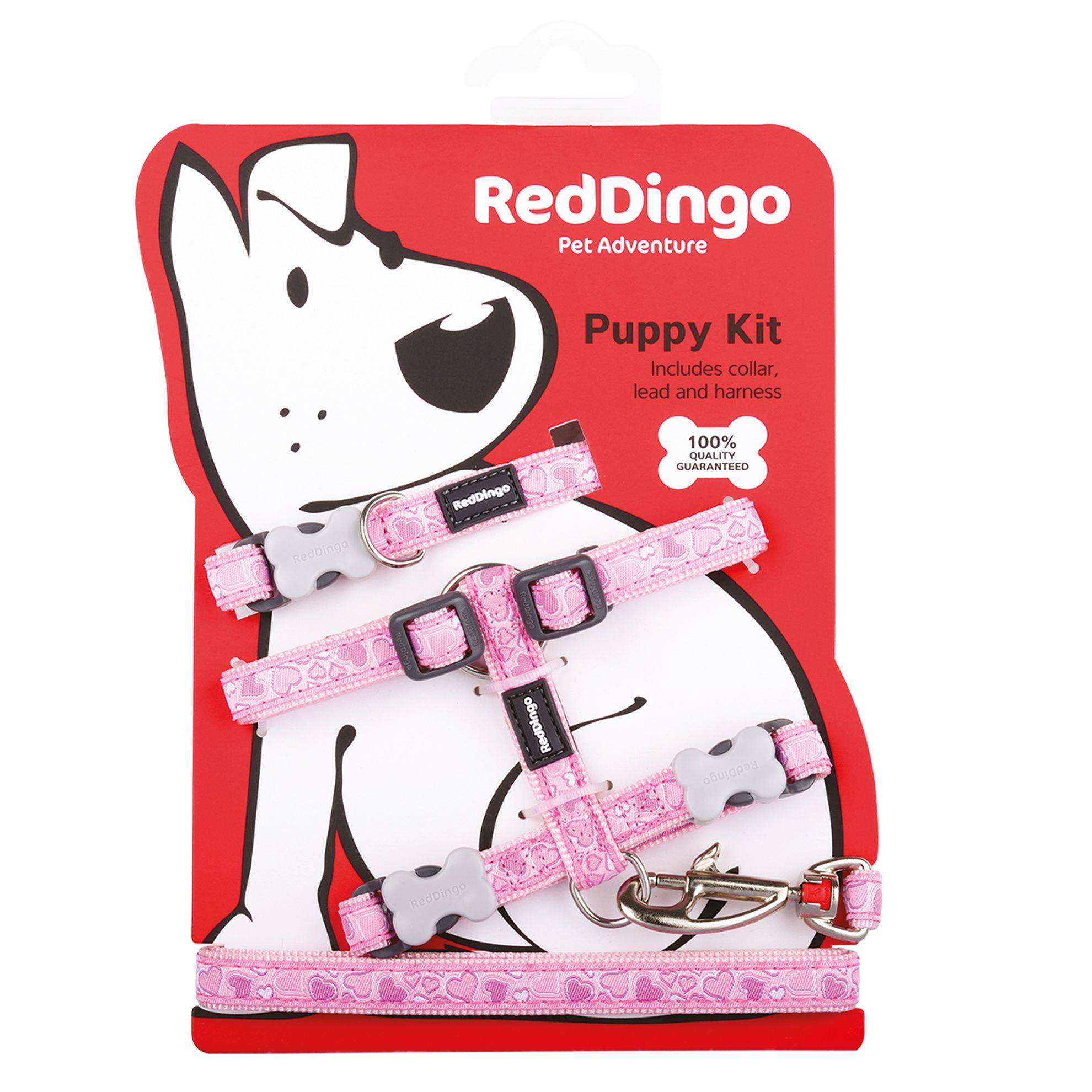Pack Chiot Red Dingo fantaisie : Rose RED DINGO