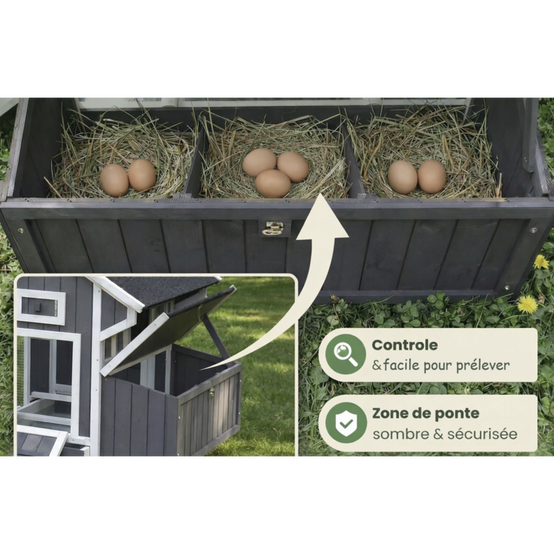 Poulailler en bois pour jardin extérieure 207x100x88cm Cage Canard avec Nichoir Modèle Franzi - Image 6