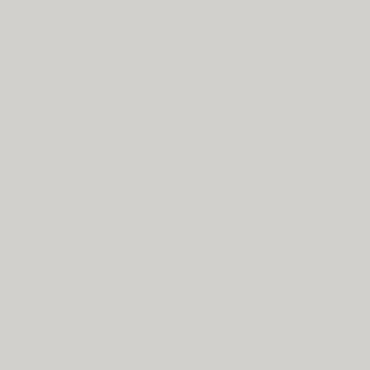 Ripolin - Peinture intérieure acrylique satin Gris cetus, monocouche couvrante lessivable multi-support - Ripolin - Image 2