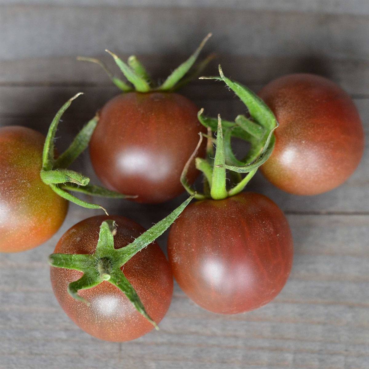 Tomate Black Cherry Bio le sachet de 50 graines environ