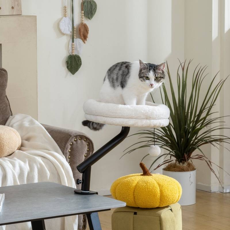 Lit Chat Bureau Pivotant 360° Hamac Suspendu Réglable Doux Blanc Crème - ComfortXL Outdoor Living - Image 1