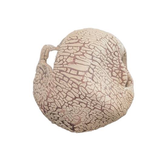 Décoration boulet 8 cm avec cachettes pour petit poisson - Image 4