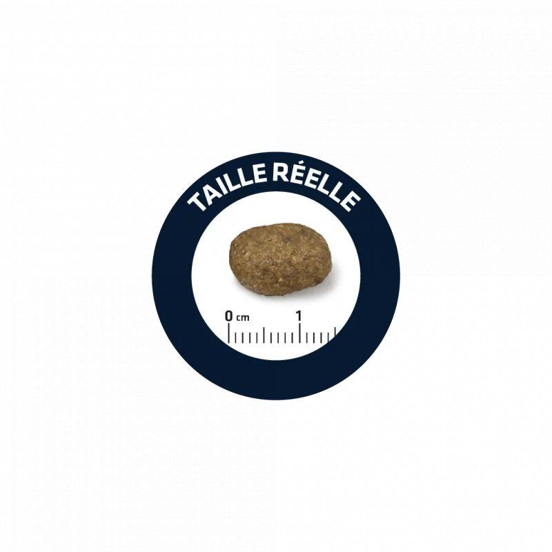 CROQUETTES CHIEN SENSITIVE MEDIUM / MAXI SAUMON RIZ - ADVANCE 12 kg - Image 2