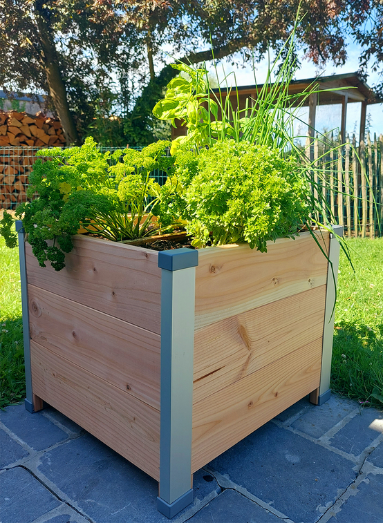 Mon Petit Potager - Bac bois Douglas DESIGN 50 X 45 X H40cm - Epaisseur 19mm - mon PETIT POTAGER - Image 2