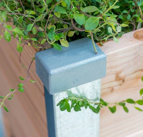 Mon Petit Potager - Bac bois Douglas DESIGN 50 X 45 X H40cm - Epaisseur 19mm - mon PETIT POTAGER - Image 4