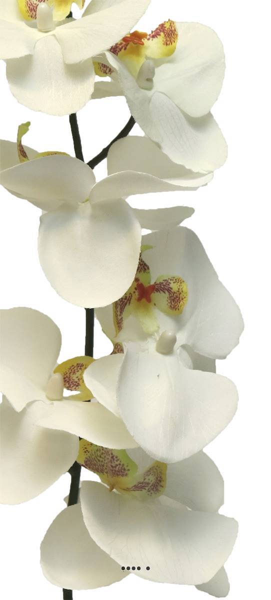 Artificielles - Tige d&rsquo;orchidée phalaenopsis artificielle, H 78 cm, Crème - BEST - couleur: Crème - Imagen 3
