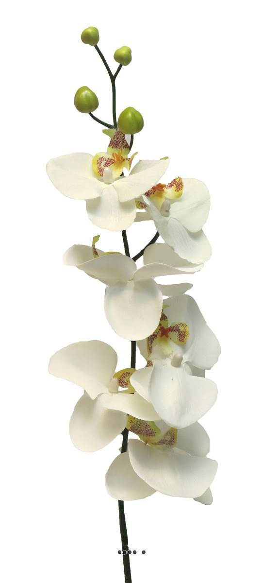 Artificielles - Tige d&rsquo;orchidée phalaenopsis artificielle, H 78 cm, Crème - BEST - couleur: Crème - Imagen 2