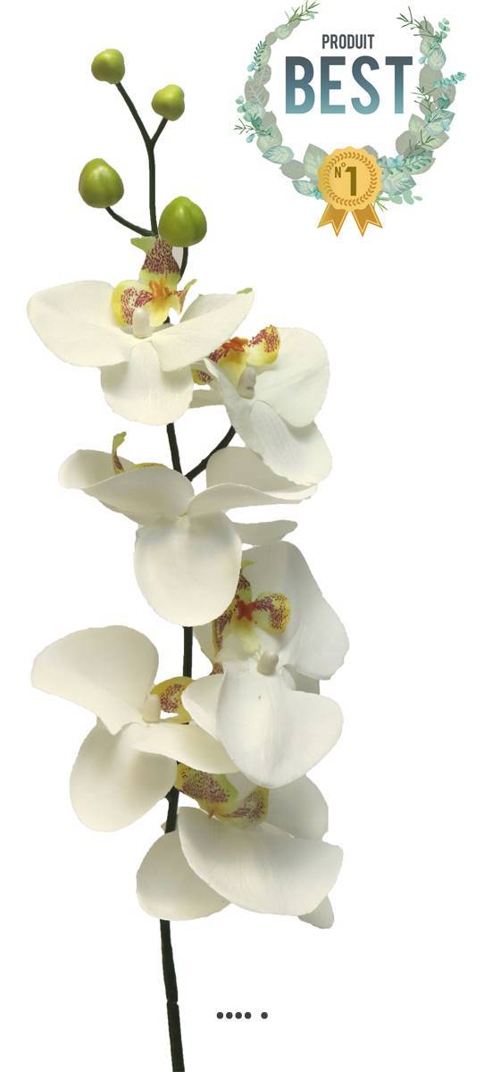 Artificielles - Tige d&rsquo;orchidée phalaenopsis artificielle, H 78 cm, Crème - BEST - couleur: Crème - Imagen 1