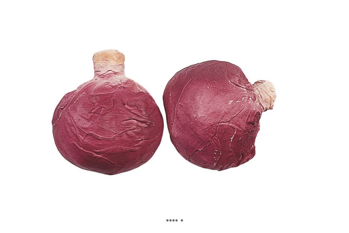 Artificielles - Choux rouge artificiel en lot de 2 en Plastique soufflé H 130x120 mm - Imagen 2