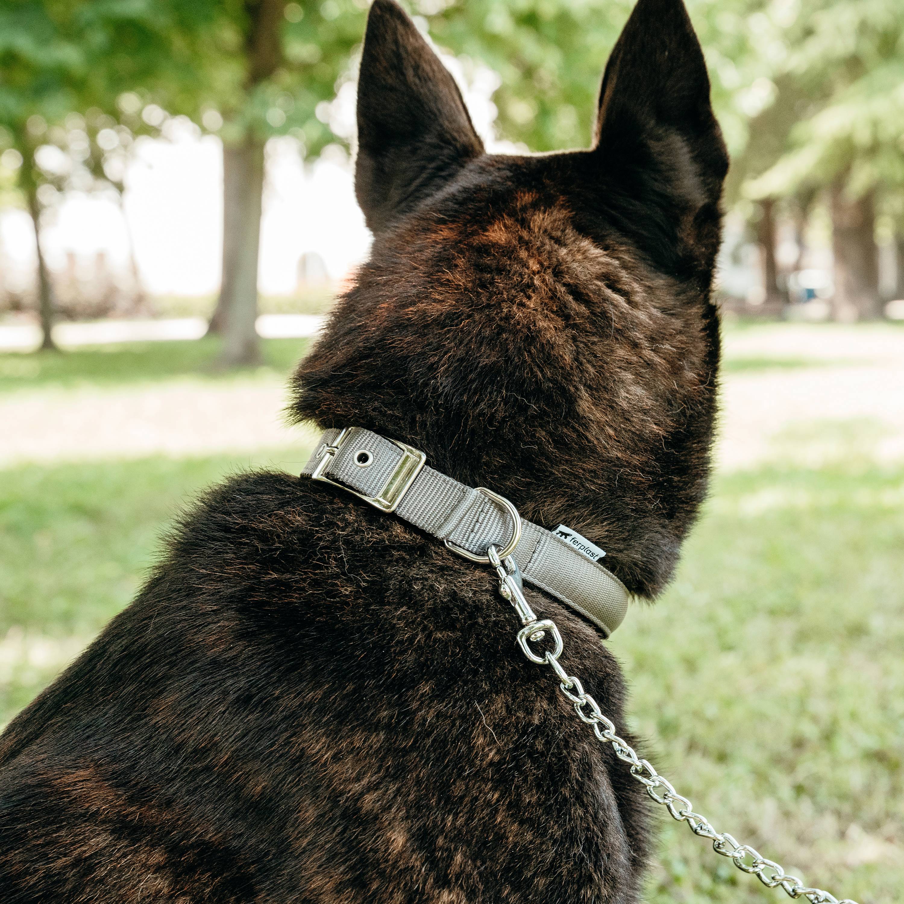 Ferplast - Laisse pour chien Ferplast DAYTONA, Laisse courte pour chiens de taille moyenne, chaîne métallique anti-morsure, poignée confortable en nylon, - Imagen 3