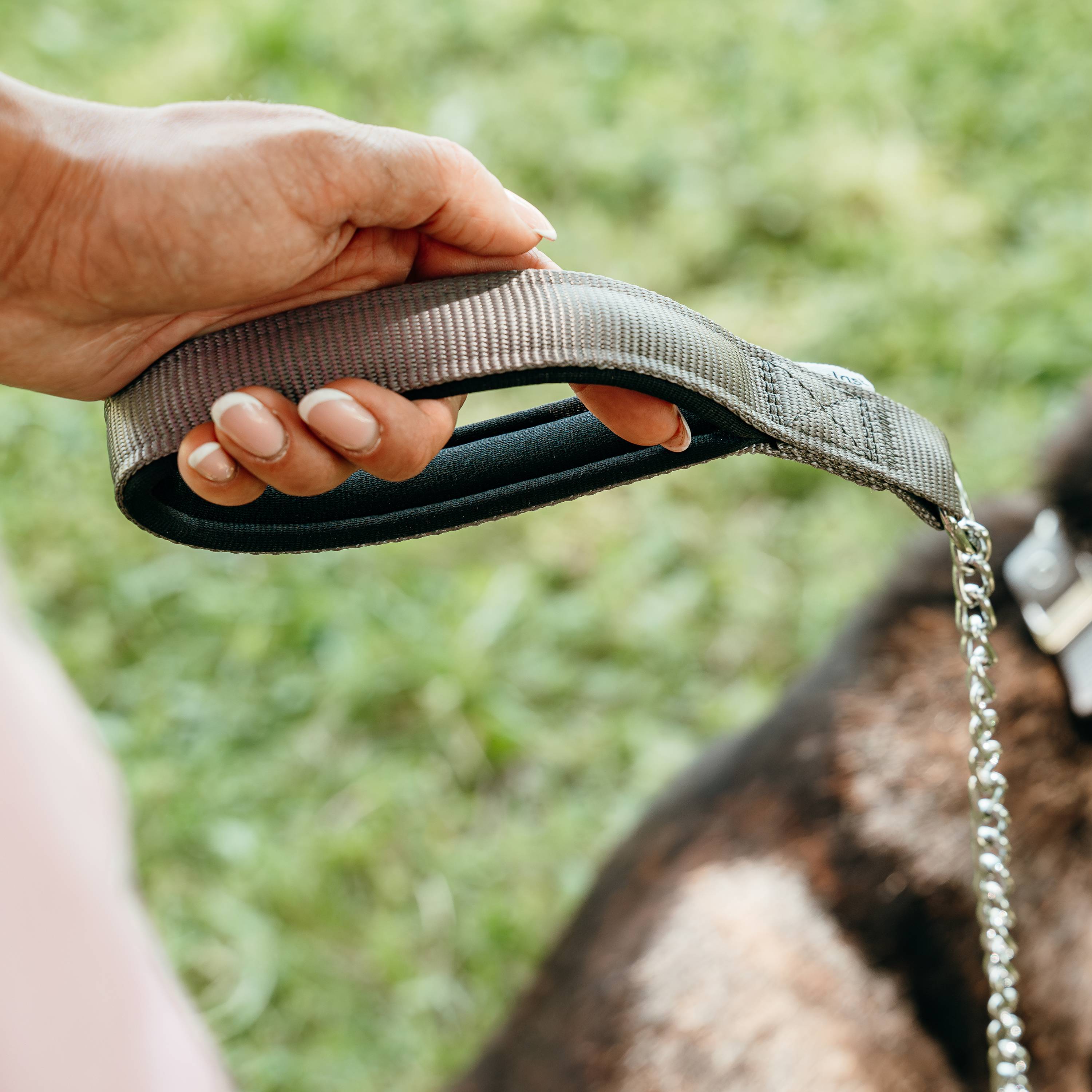 Ferplast - Laisse pour chien Ferplast DAYTONA, Laisse courte pour chiens de taille moyenne, chaîne métallique anti-morsure, poignée confortable en nylon, - Imagen 4