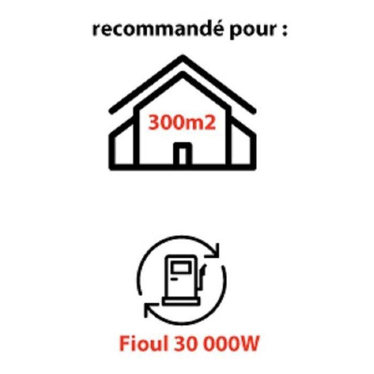 Mecafer - Canon à air chaud diesel/fioul 30 000 W, turbine 230 V, thermostat, réservoir 10 L - MECAFER - Image 2