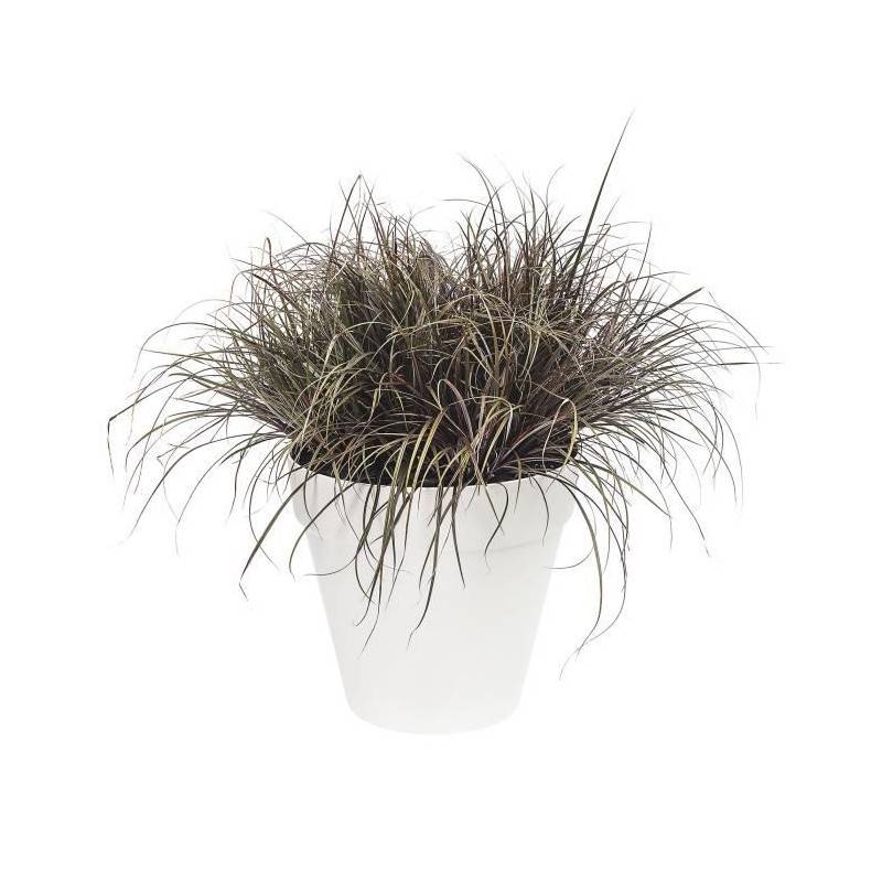Elho - Pot De Fleur Elho Plastique Rond Loft Urban Blanc ø 30 X 26 Cm 9,6 L - Imagen 2