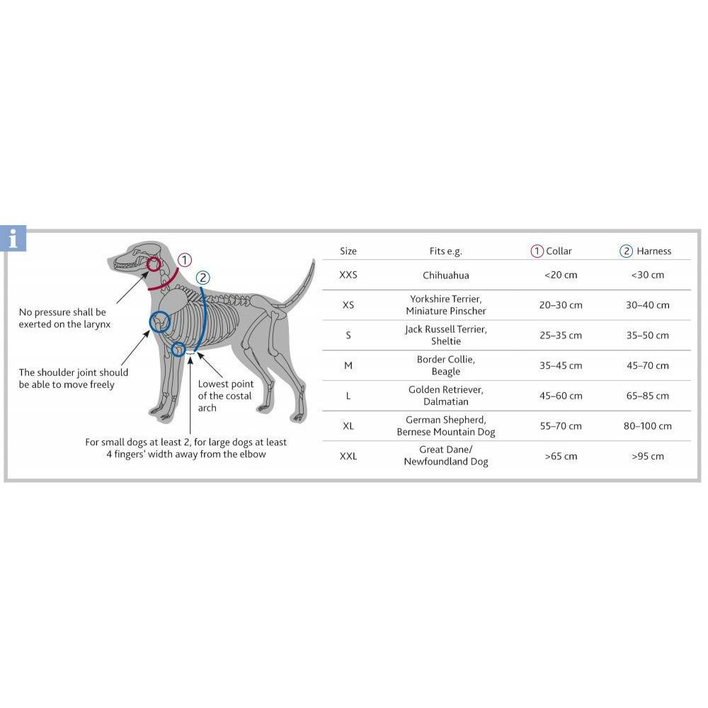 Trixie - Trixie - harnais touring. taille S. couleur violet. pour chien. - Image 2