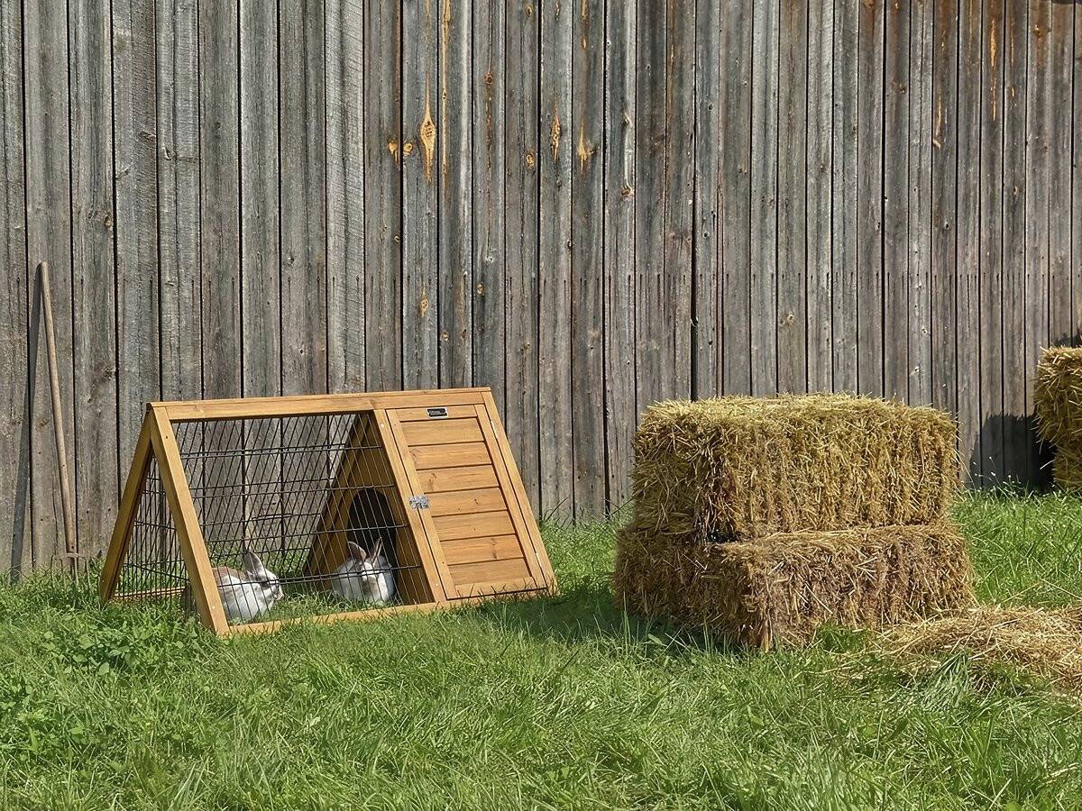 Clapier Poulailler "biscotte" - 100 X 62 X 52 Cm - Marron -habitat Et Jardin - Image 2