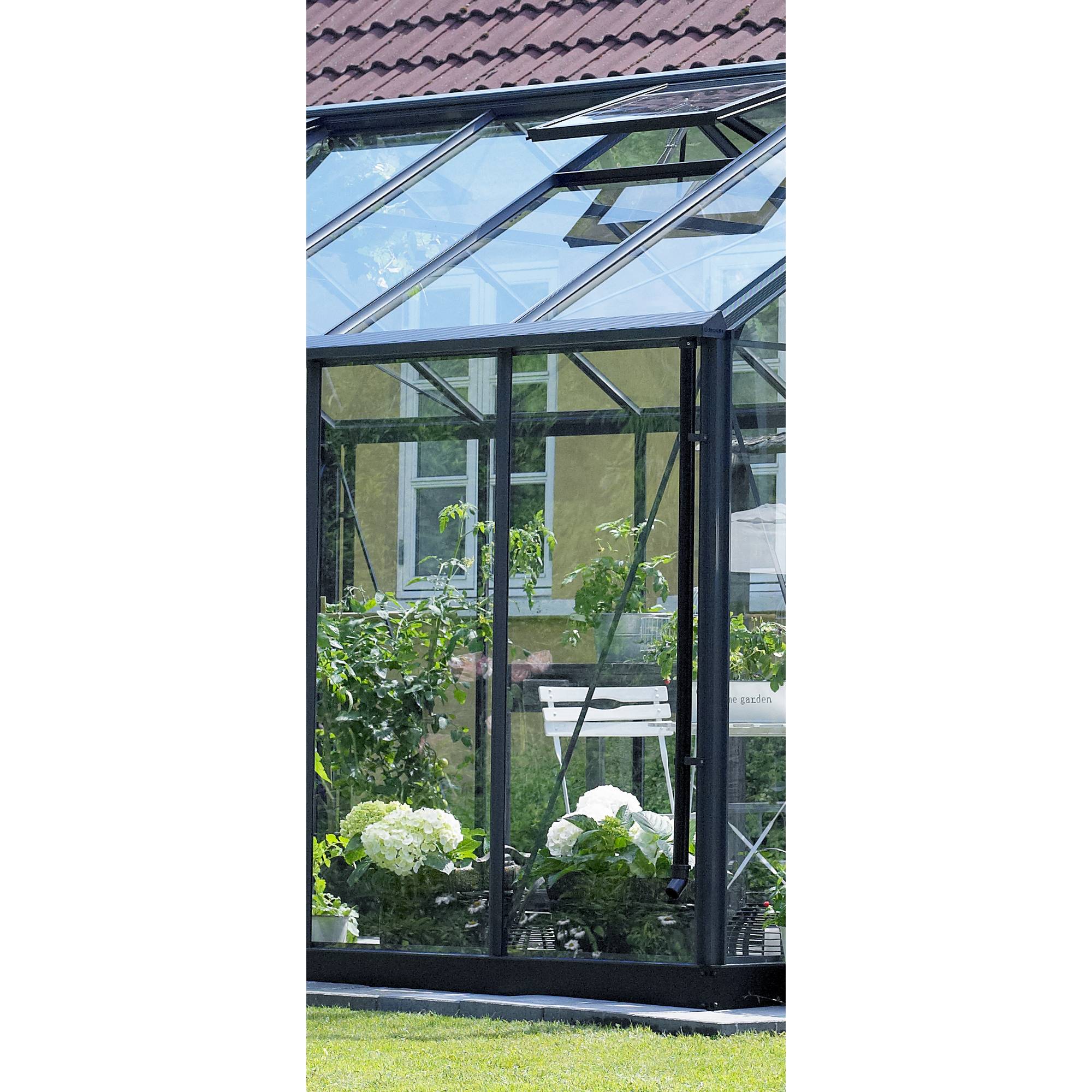 Juliana - Serre en verre trempé 10,9 m² Premium, anthracite - Juliana - Image 3