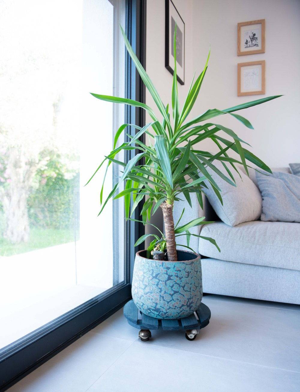 Louis Moulin - Roule-plante en bois rond anthracite "Basics " 37,5 cm Louis Moulin - Imagen 3