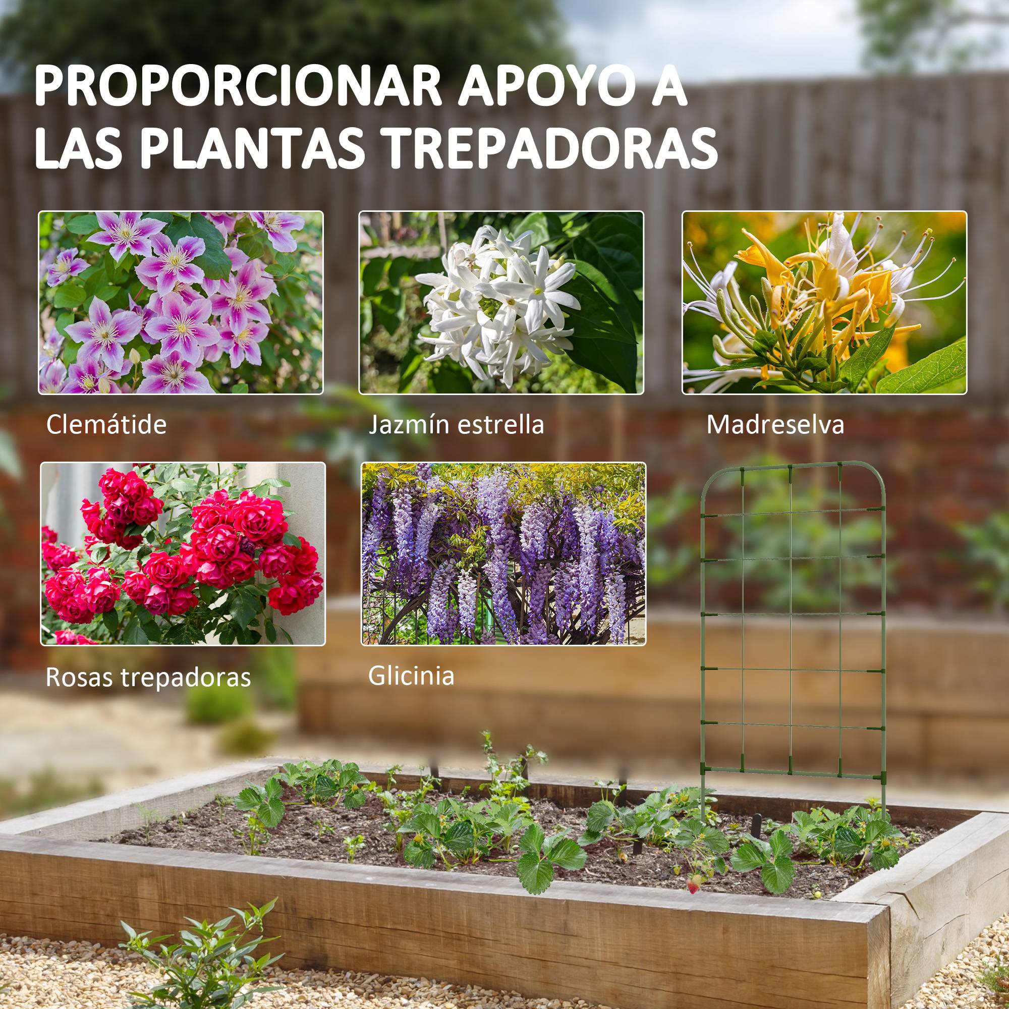 ComfortXL - Lot de 4 treillis acier plantes grimpantes pour jardin potager support 40x90cm vert - ComfortXL Outdoor Living - Image 6