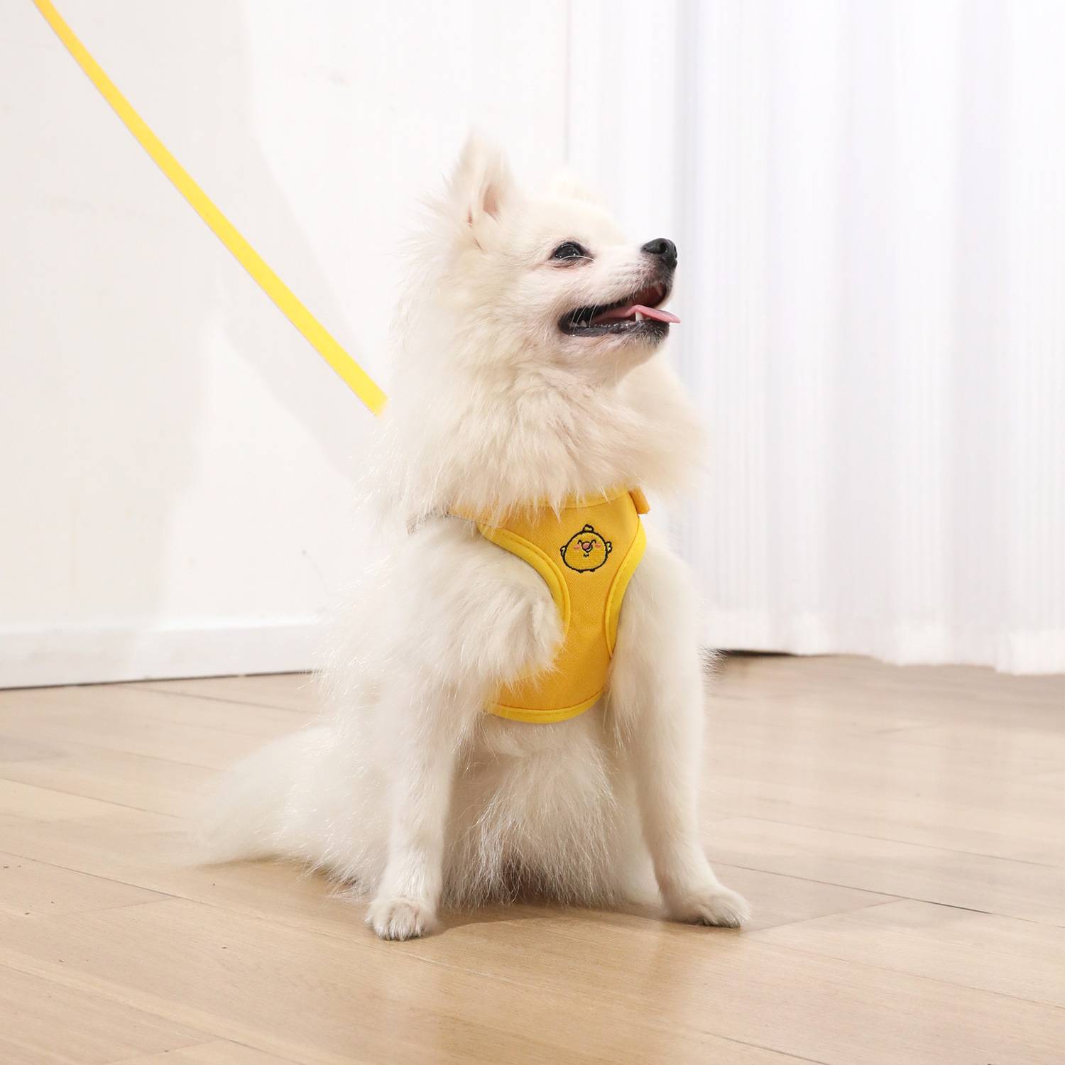 Harnais pour chat et chien taille S DtopbuyAge - Imagen 5