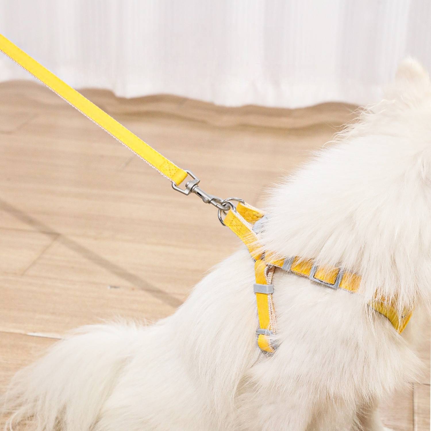 Harnais pour chat et chien taille S DtopbuyAge - Imagen 3